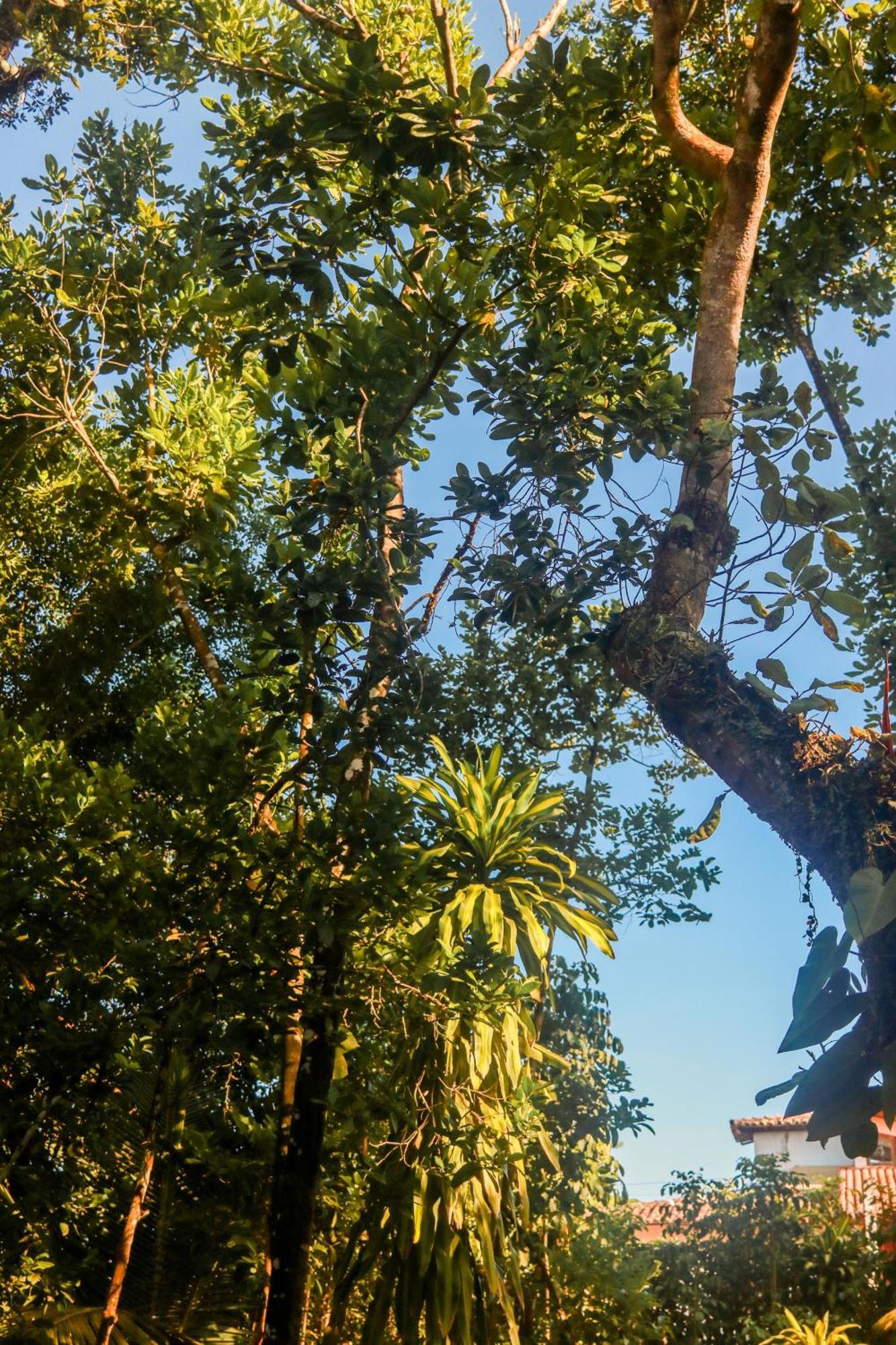 Pousada Guaiamum Itacaré Buitenkant foto
